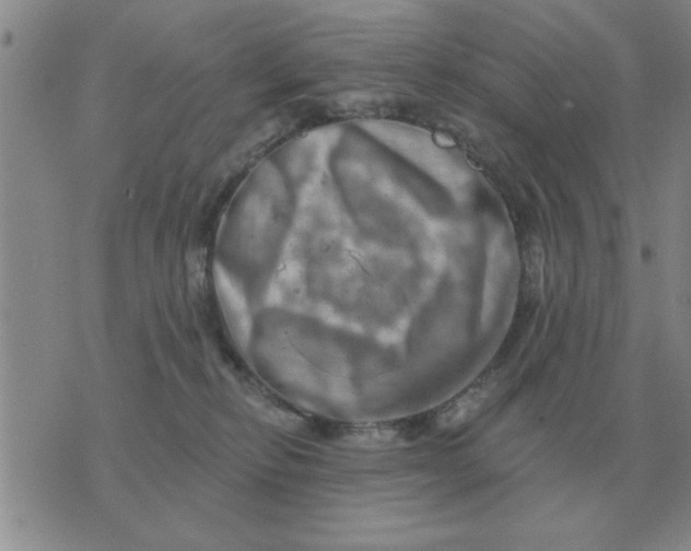 X0000074340278200609152129