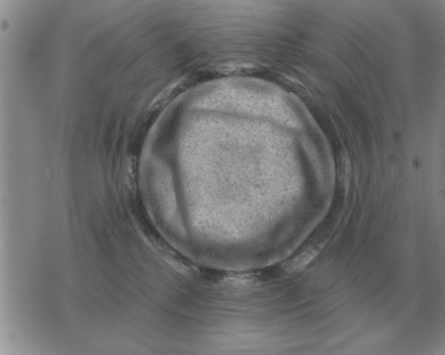 X0000074340280200609152130