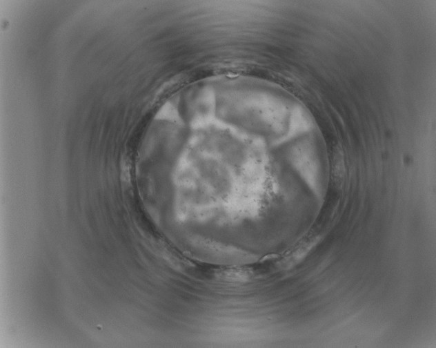 X0000074340282200609152130