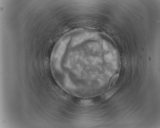 X0000074340283200609152130