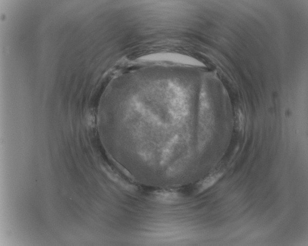 X0000074340284200609152130