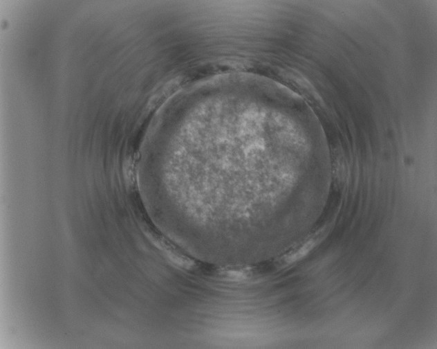 X0000074340285200609152130