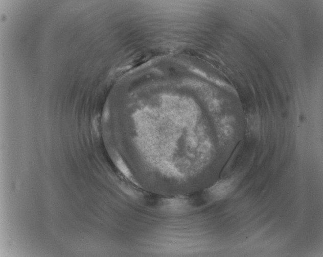 X0000074340286200609152130