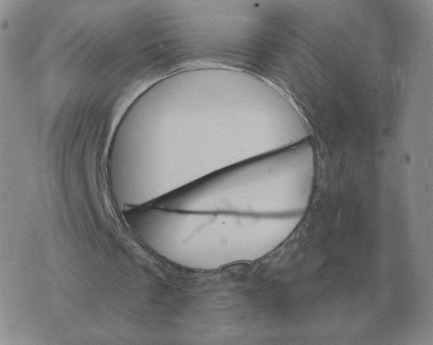 X0000074340289200609152129