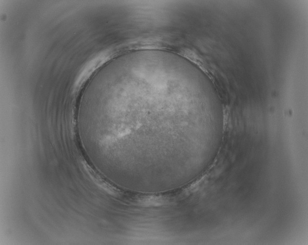 X0000074340293200609152129