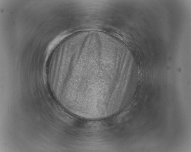 X0000074340294200609152129