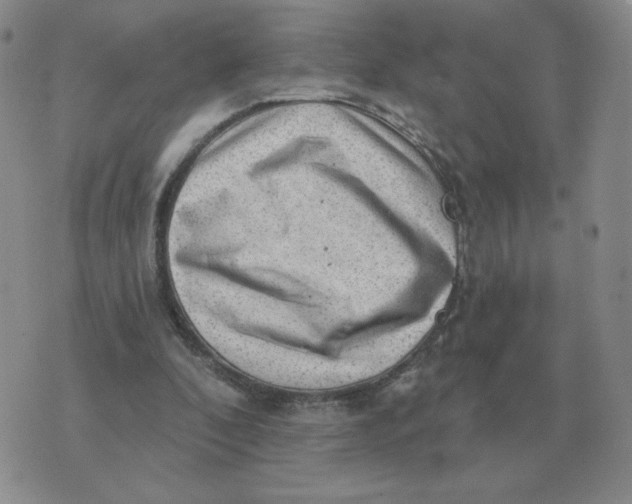 X0000074340296200609152129