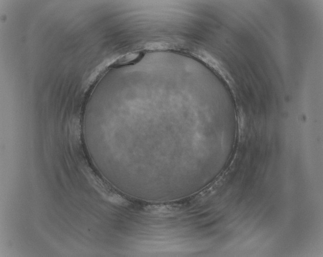 X0000074340297200609152129