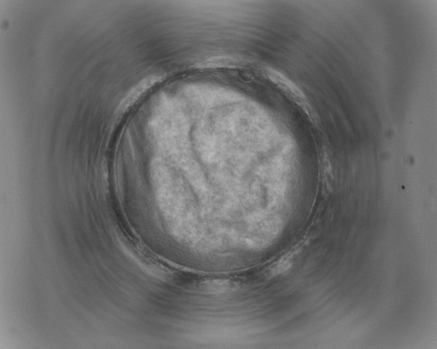 X0000074340298200609152129