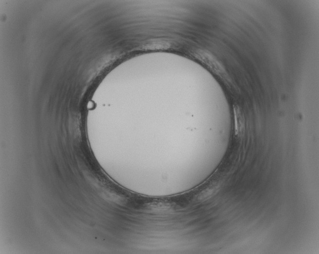 X0000074340300200609152129