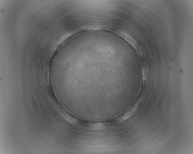 X0000074340301200609152129