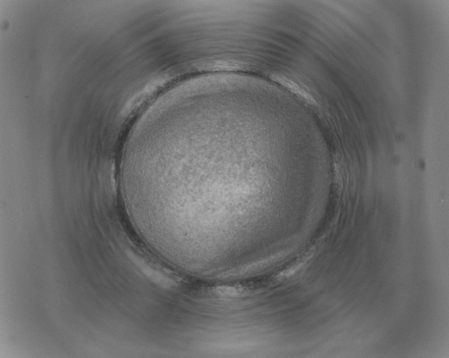 X0000074340302200609152129