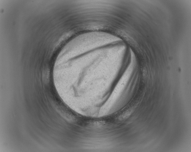 X0000074340304200609152129