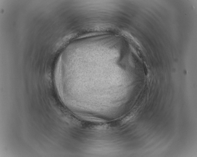 X0000074340306200609152129