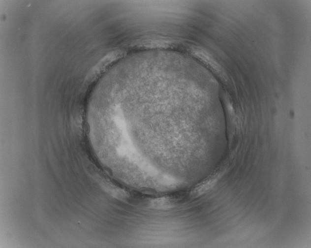 X0000074340309200609152129