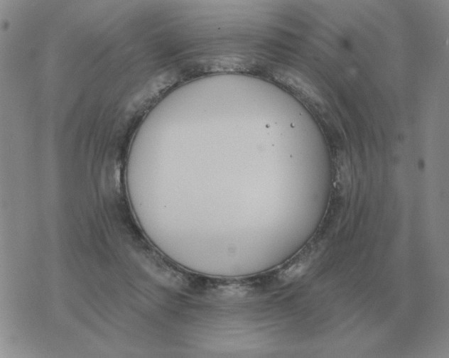 X0000074340310200609152129