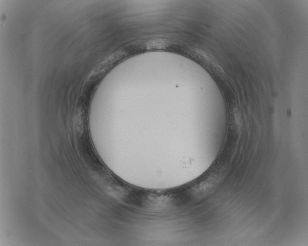 X0000074340311200609152129