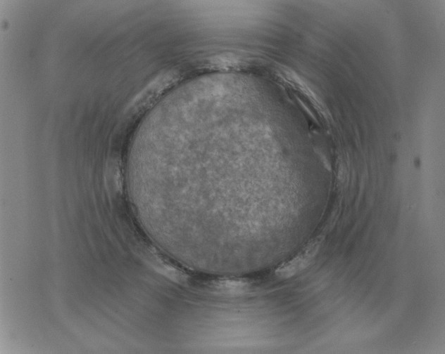 X0000074340313200609152128