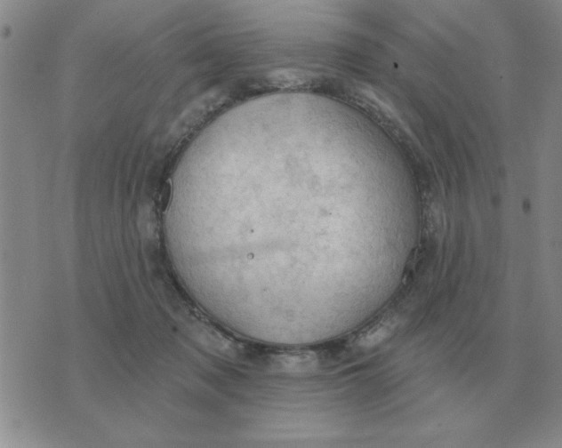 X0000074340317200609152128