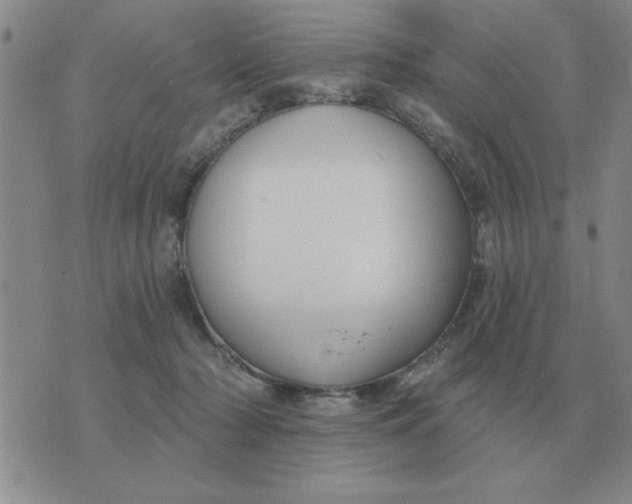 X0000074340318200609152128