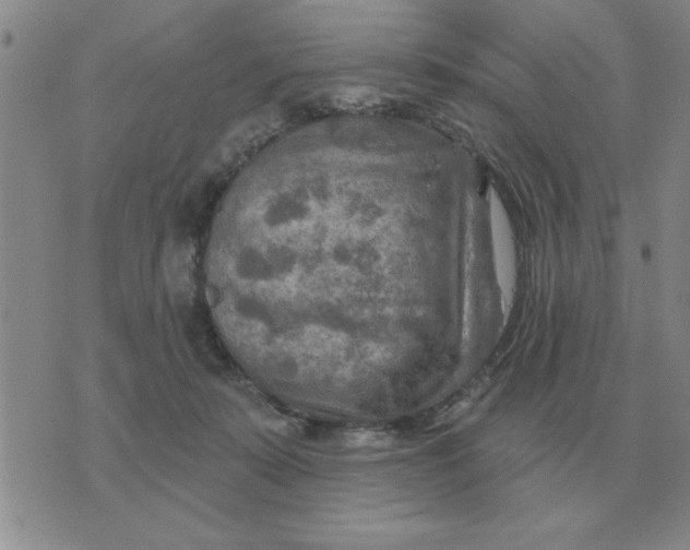 X0000074340319200609152128