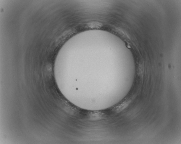 X0000074340321200609152128