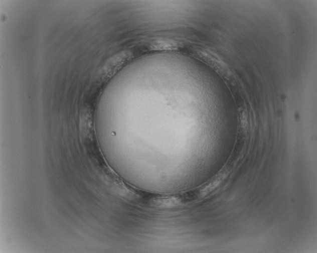 X0000074340322200609152128