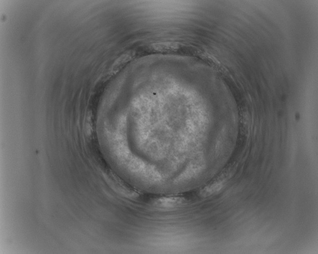 X0000074340323200609152128