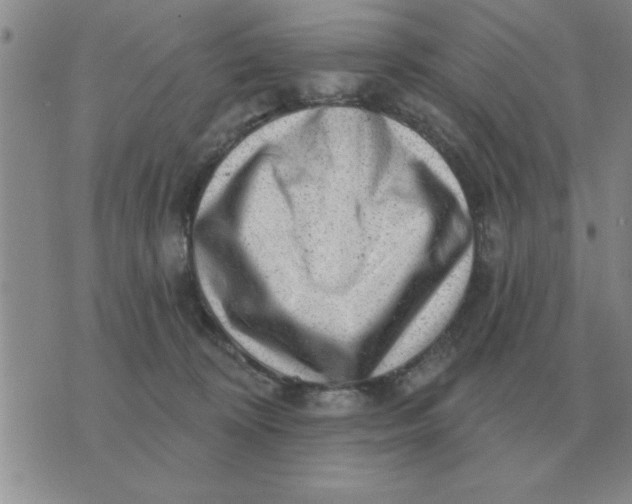 X0000074340324200609152128