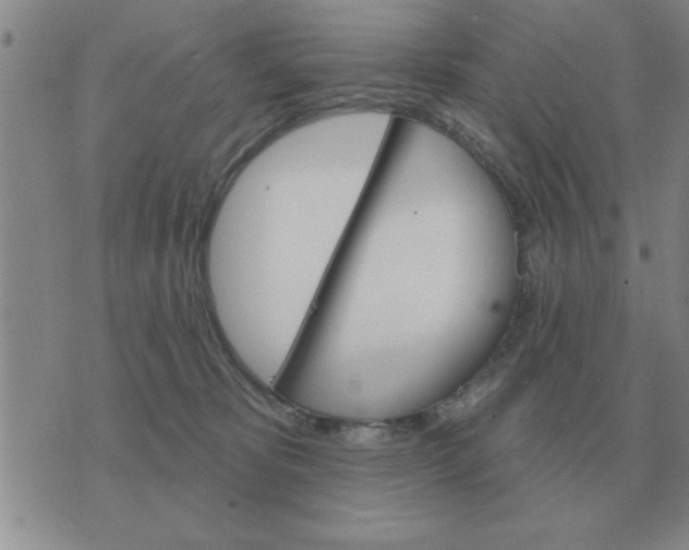 X0000074340325200609152128