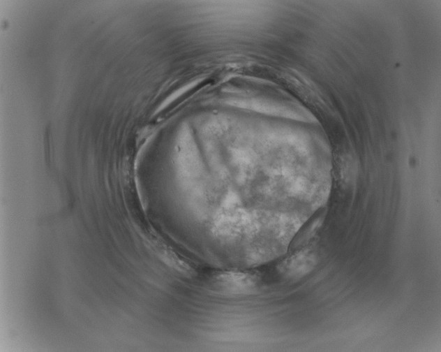 X0000074340326200609152128