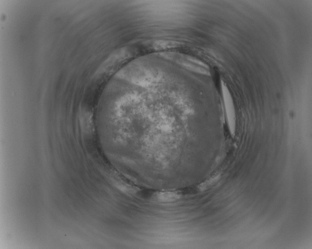 X0000074340327200609152128