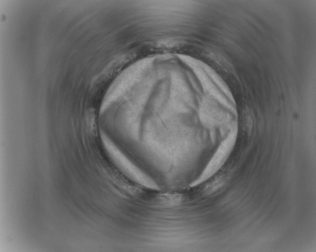 X0000074340328200609152128