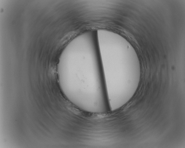 X0000074340329200609152128