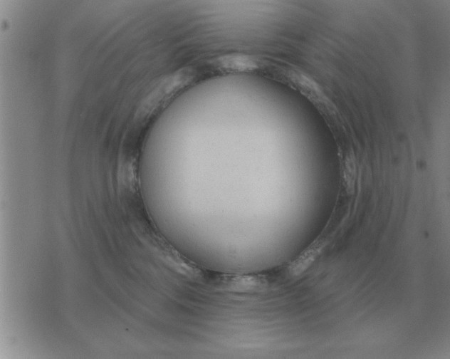 X0000074340330200609152128