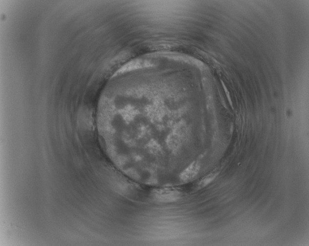 X0000074340331200609152128