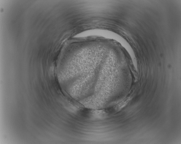 X0000074340333200609152128