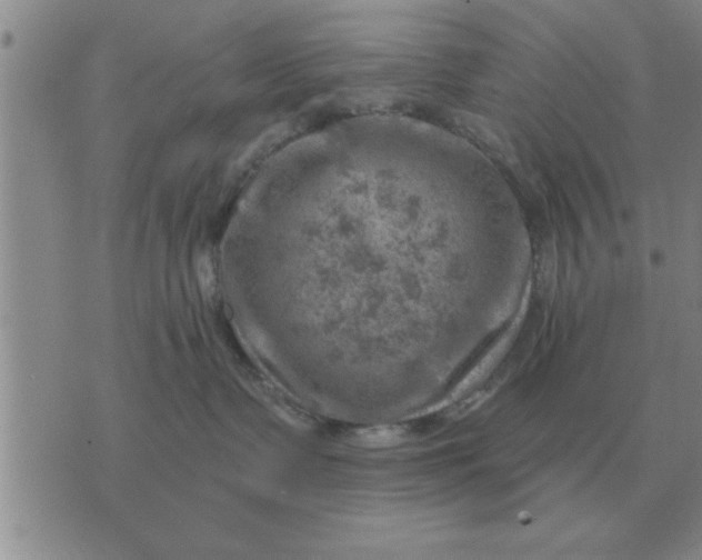 X0000074340335200609152128