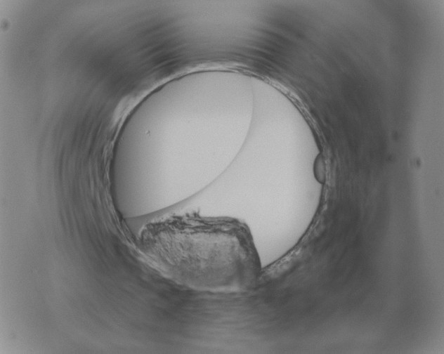 X0000074340337200609152127