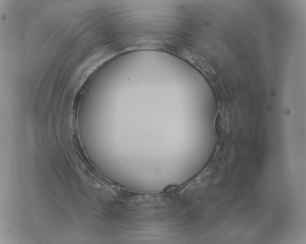 X0000074340338200609152127