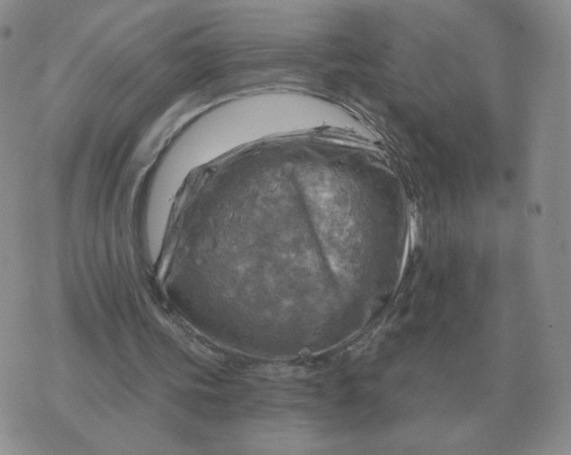 X0000074340339200609152127