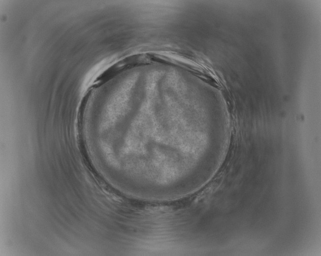 X0000074340340200609152127