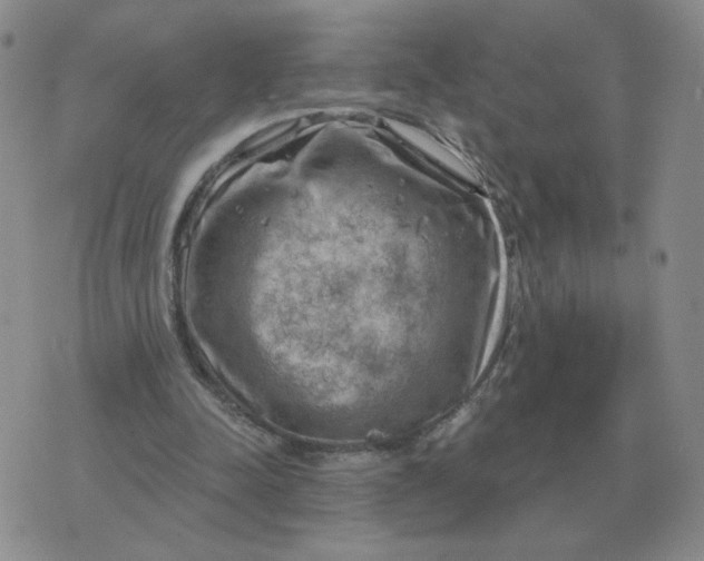 X0000074340342200609152127