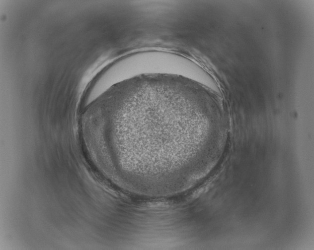 X0000074340344200609152127