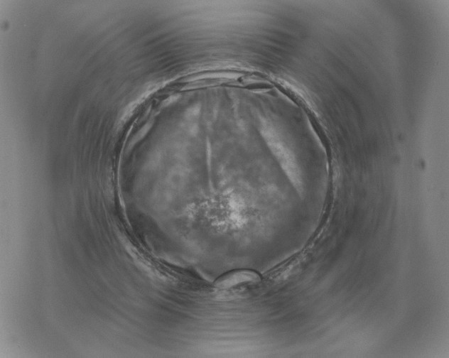 X0000074340345200609152127