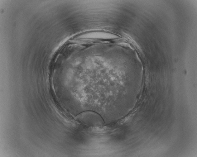 X0000074340346200609152127