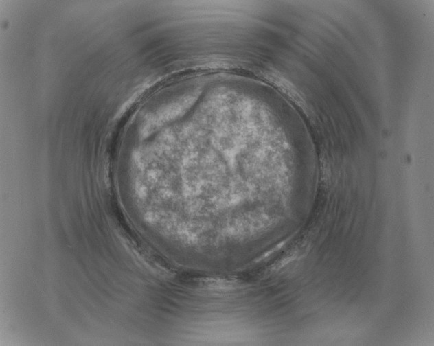 X0000074340347200609152127