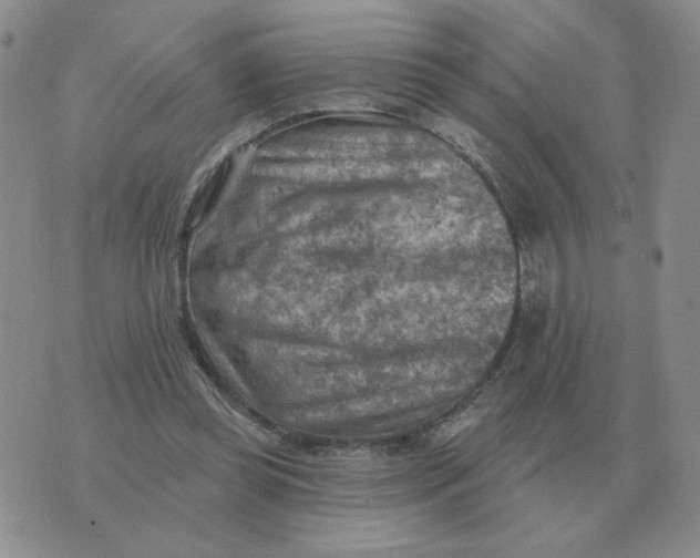 X0000074340349200609152128