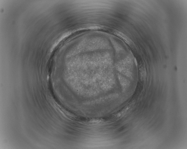 X0000074340350200609152128