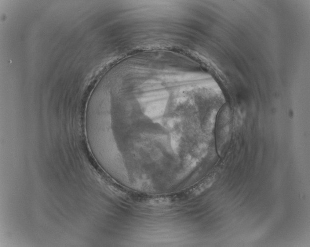 X0000074340353200609152128